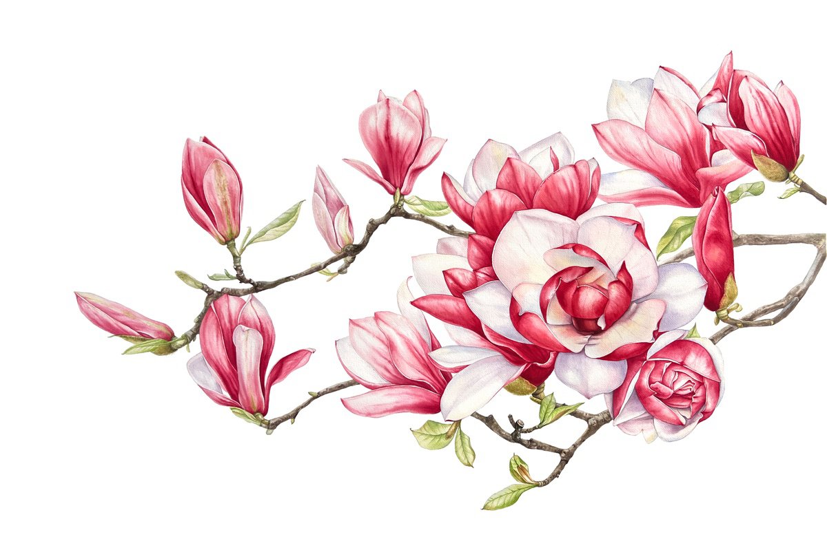 Photorealistic Watercolour , Between Tenderness And Strength By Nataliia Kupchyk, 47 X 31, Artwork For Sale On Artfinder