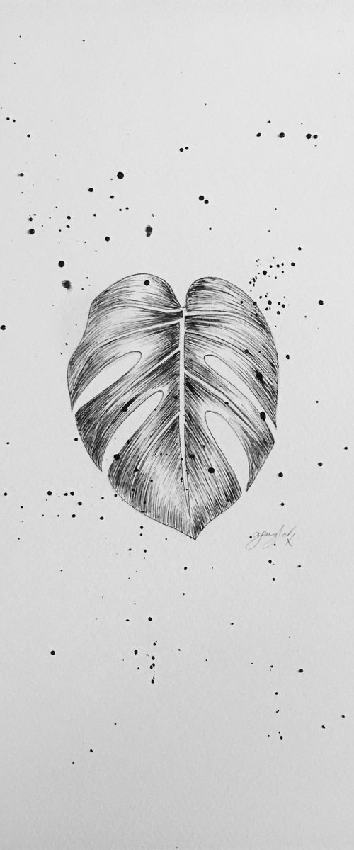 Monstera ink leaf by Amelia Taylor