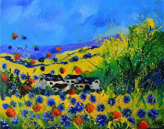 Poppies and blue cornflowers in my countryside