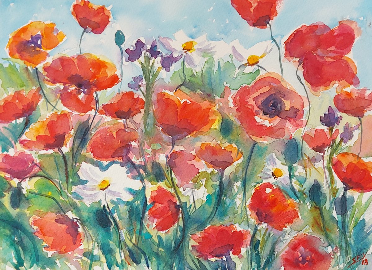 Daisies and poppies by Silvia Flores Vitiello