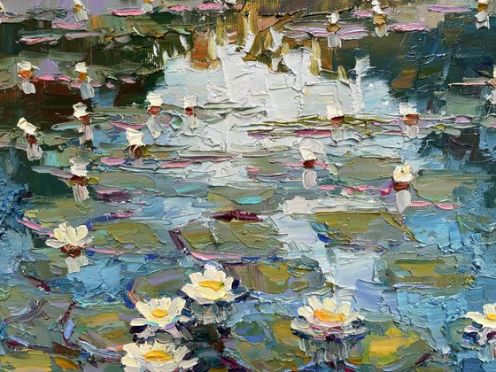 "Water lilies flowers"