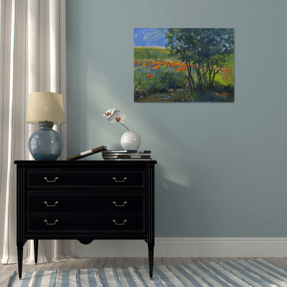 Summer Meadow Reflections