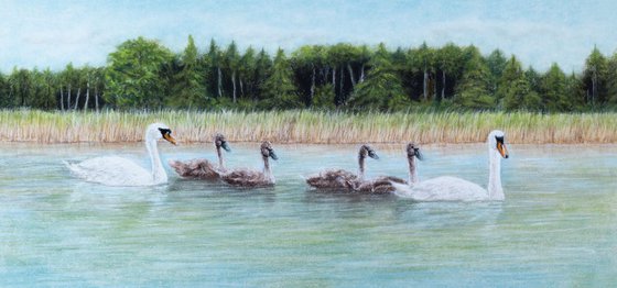Original pastel drawing "Family of swans"