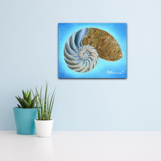 Nautilus