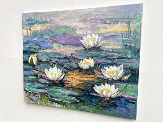 "Water lilies"