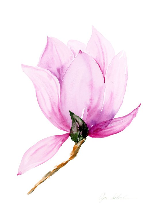 Pink Magnolia  watercolor