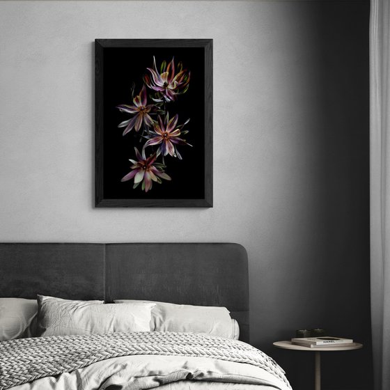 Dried Burgundy Blaze