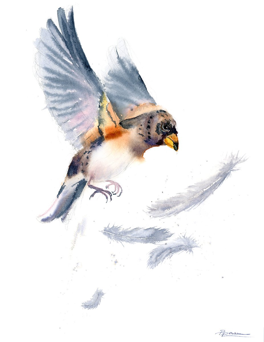 Bird and feather 3 ( 1 of 3) - Original Watercolor Painting by Olga Shefranov (Tchefranova)