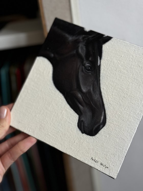 Horse Portrait 26