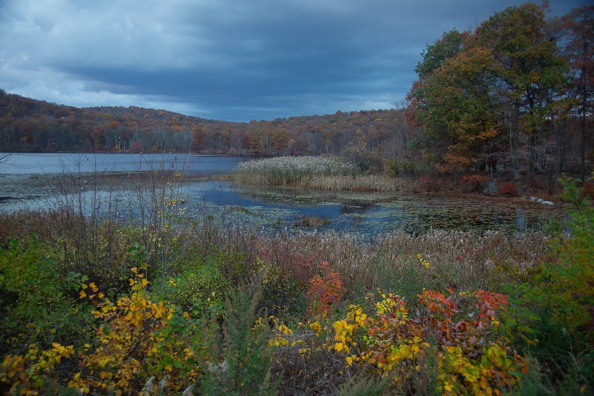 Benjamin Meadow 1 by MICHAEL FILONOW