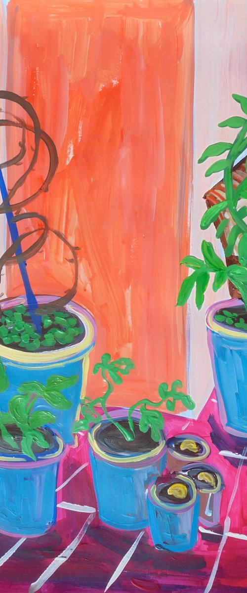 Patio with potted plants. by Kirsty Wain