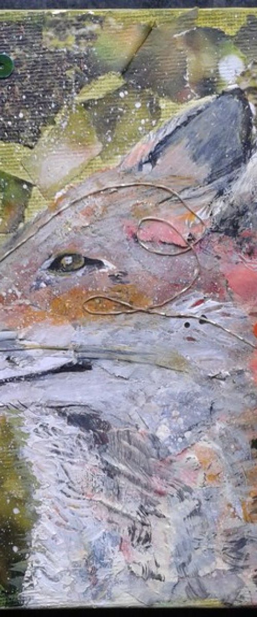Smiling Fox by Fiona Plaisted