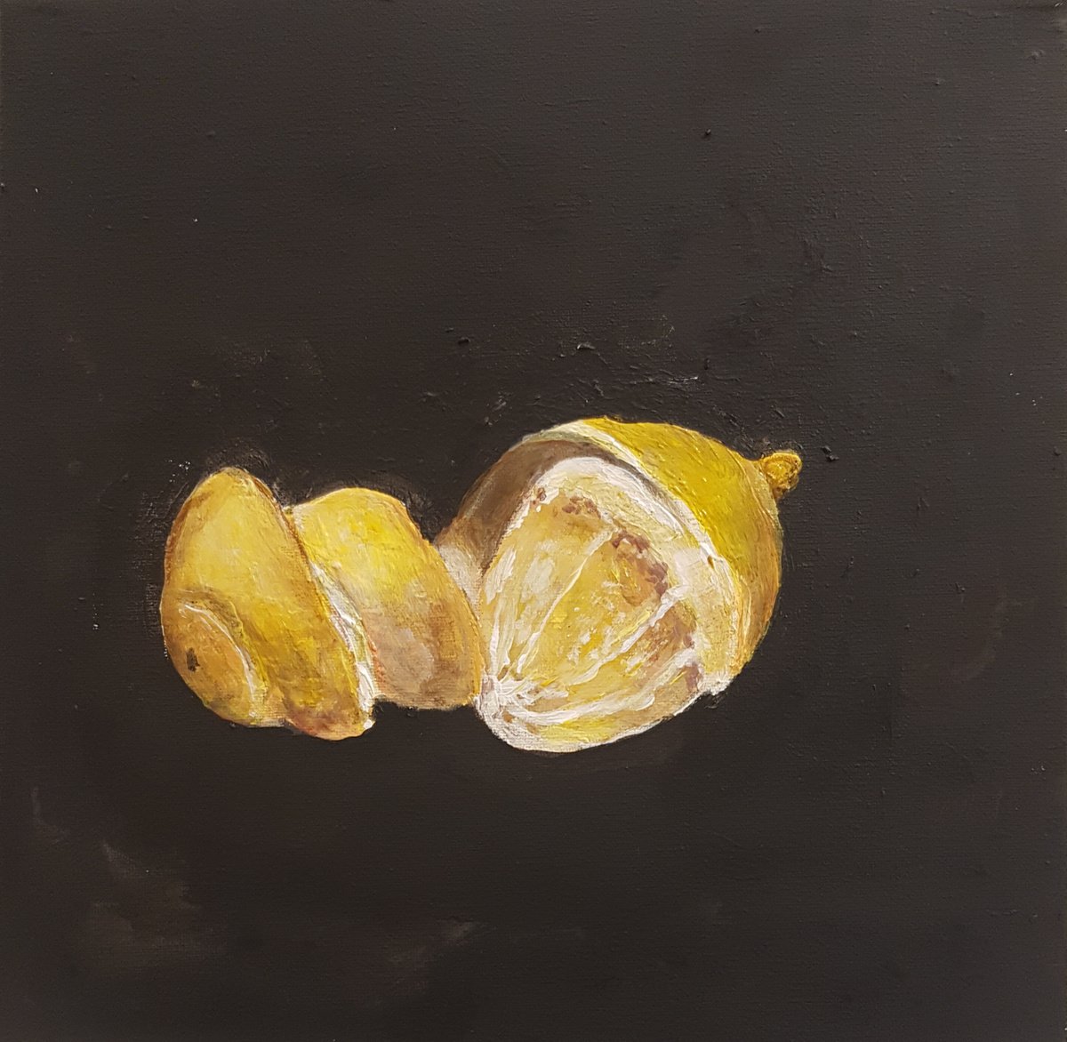 Lemon by Els Driesen