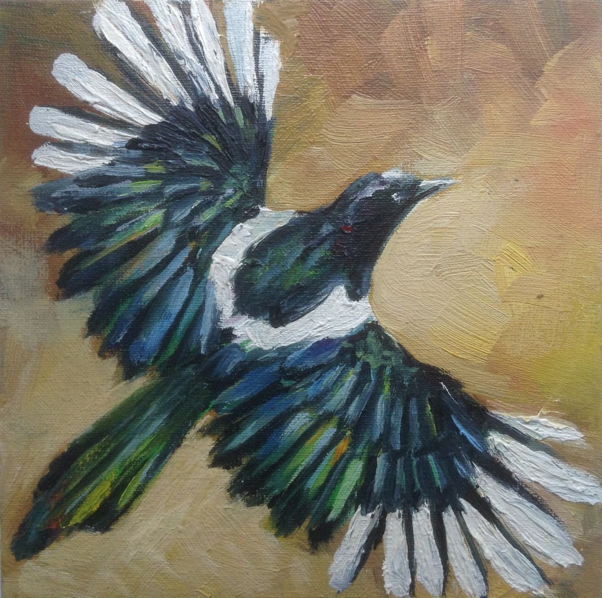 Magpie by Nata New