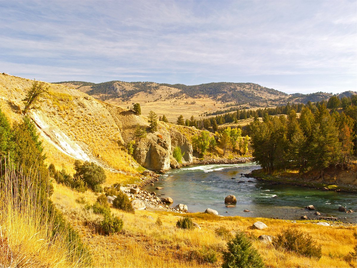 Yellowstone River, Wyoming by Alex Cassels