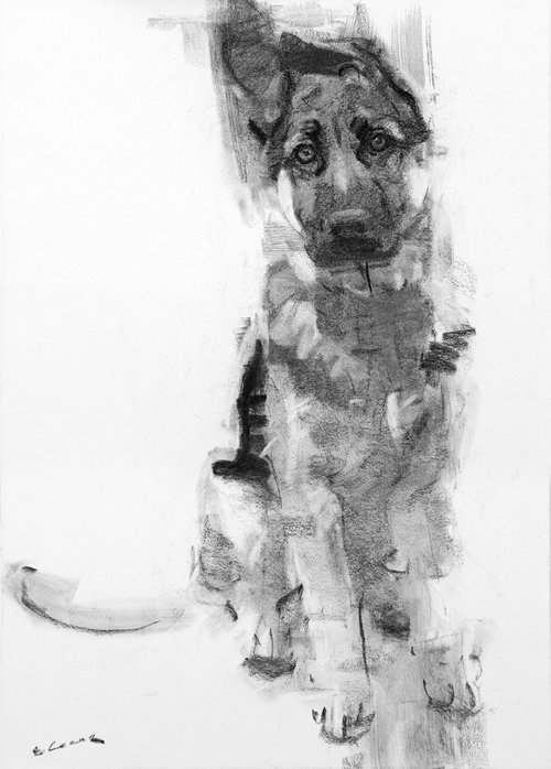 Charcoal drawing on paper by Eugene Segal