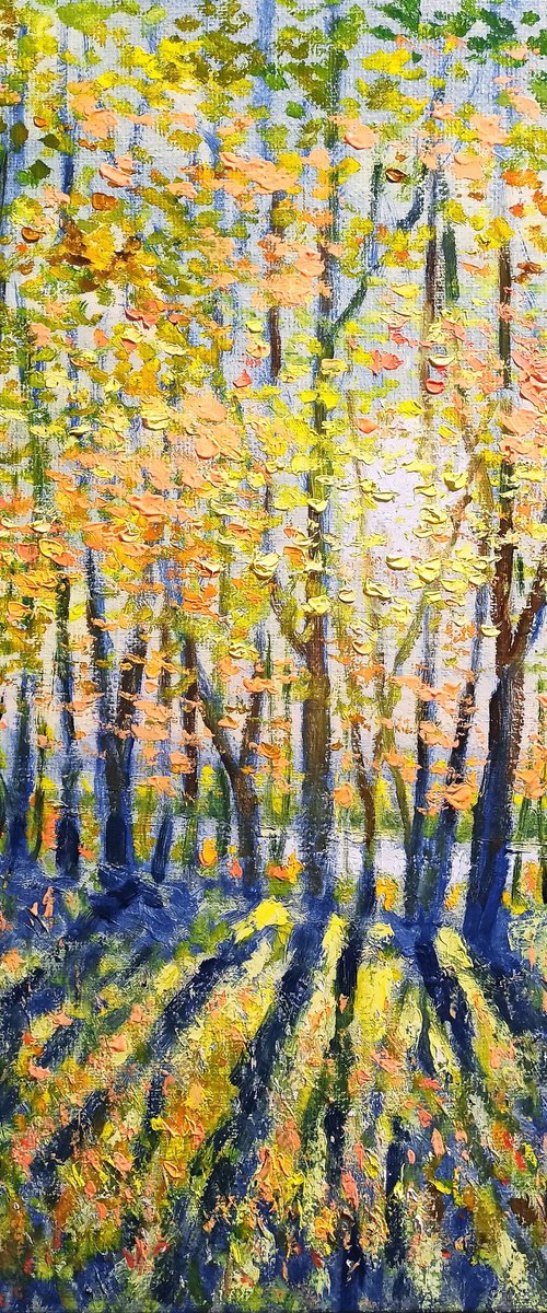 Sunny autumn by Oleh Rak