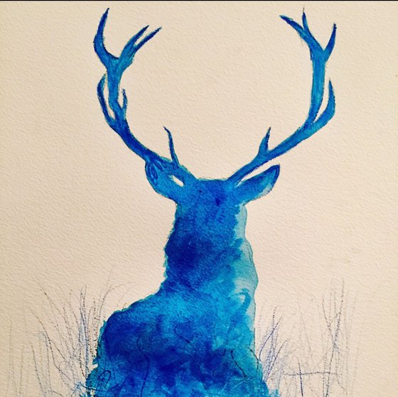 Blue stag 🦌