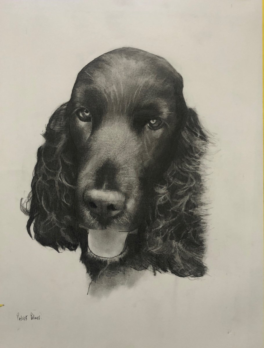 Photorealistic Pencil Drawing , Dog Portrait - Commissions By Patrick Palmer, 16 X 20, Artwork For Sale On Artfinder