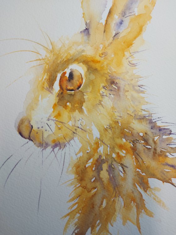 Watercolour hare