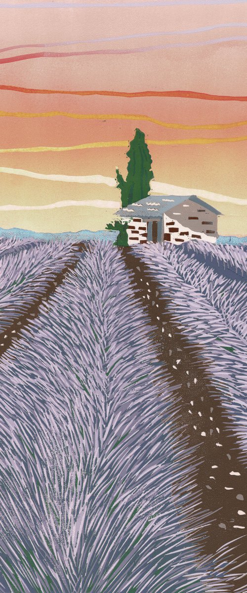Lavender Field by Joanne Spencer
