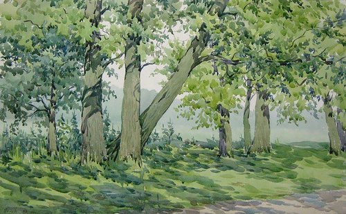Oak forest by Valeriy Savenets-1