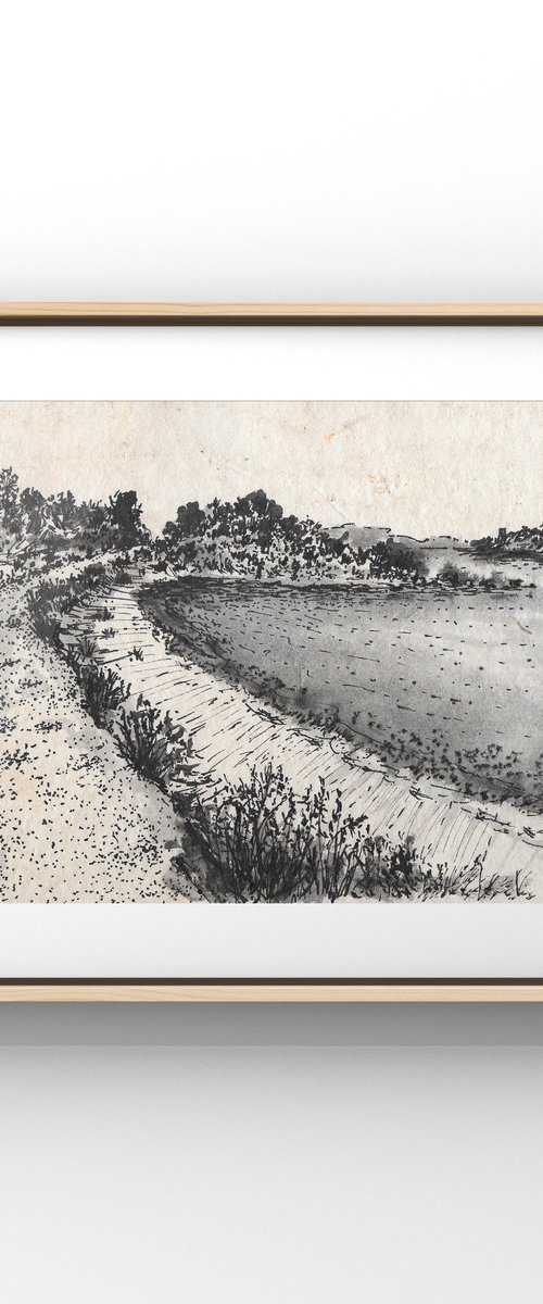 Shaded Field by Gozde Temiz Istanbul