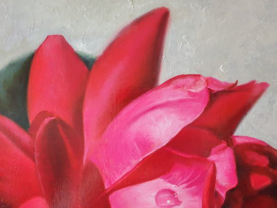 "Passionate. "  rose flower  liGHt original painting  GIFT (2021)