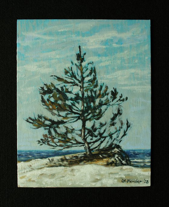 Seascape with a pine tree