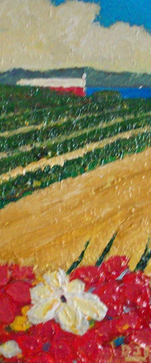 New Vineyard by David J Edwards