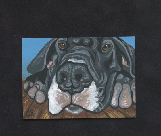 ACEO ATC Original Painting Black Great Dane Pet Dog Art-Carla Smale