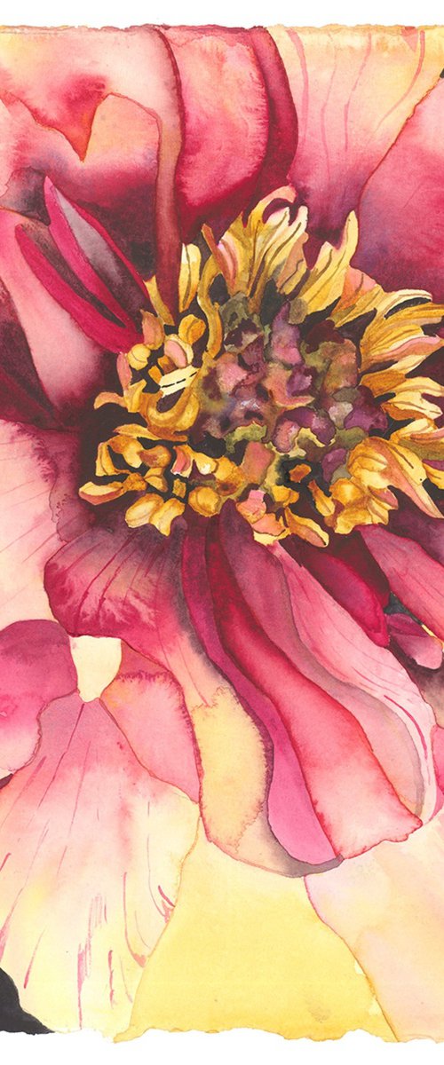 Enchanted by Mary Lyn Gough