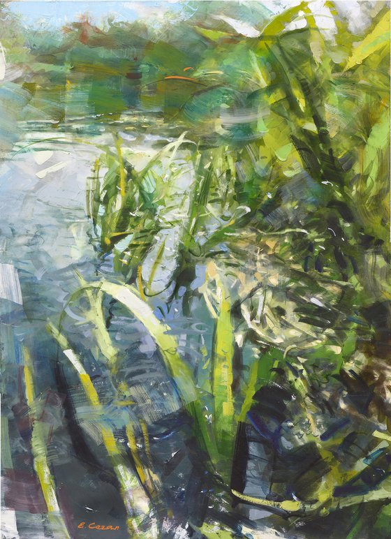 River grass2