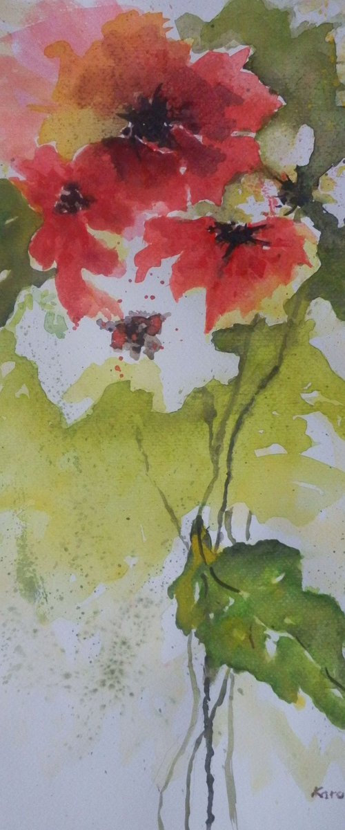 Red and white flowers by Maria Karalyos