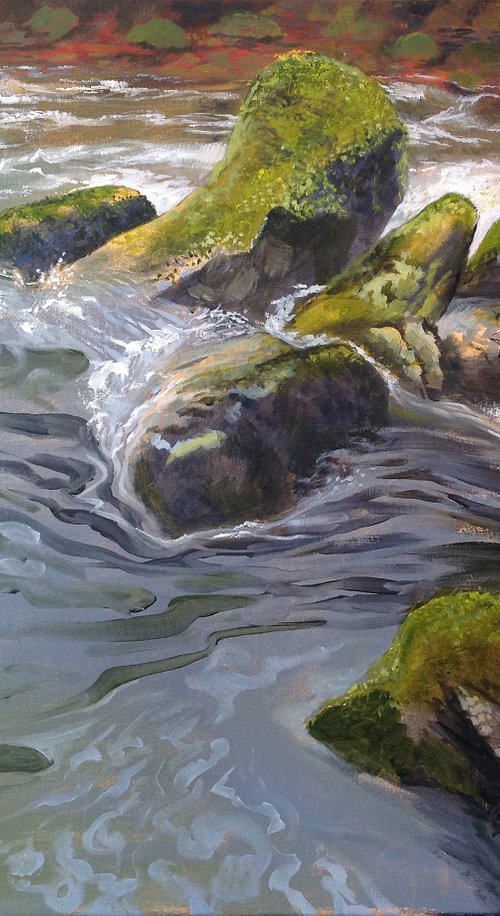 River Taw II, Dartmoor by Daniel Loveday