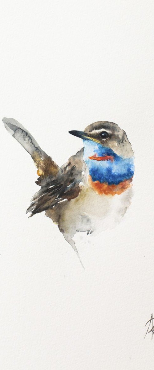 Bluethroat (Luscinia svecica) by Andrzej Rabiega