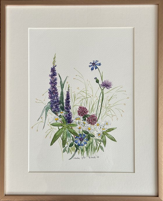 Wild Flowers