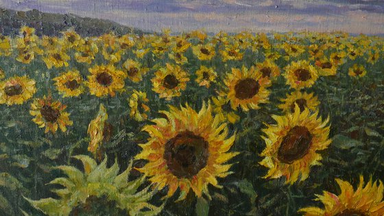 Sunflower Field - original landscape painting