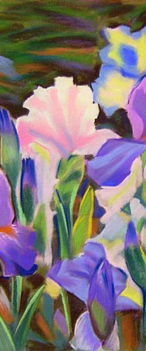 Irises by Sergey  Kachin