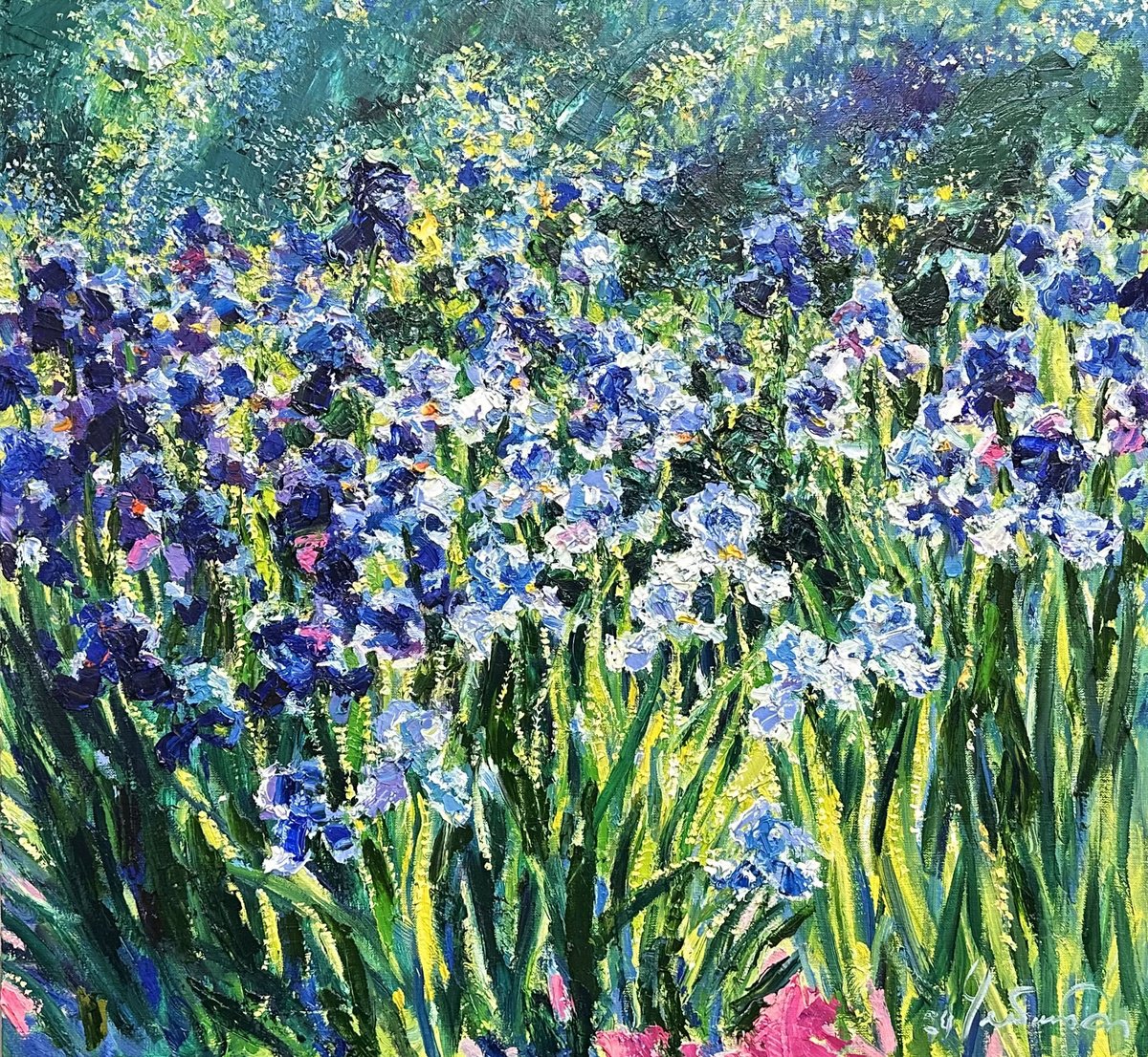 Impressionistic Botanical Oil Painting By Andrii Chebotaru, 28 X 26, Irises In My Mother