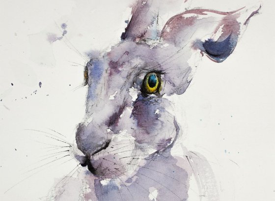 Purple Hare