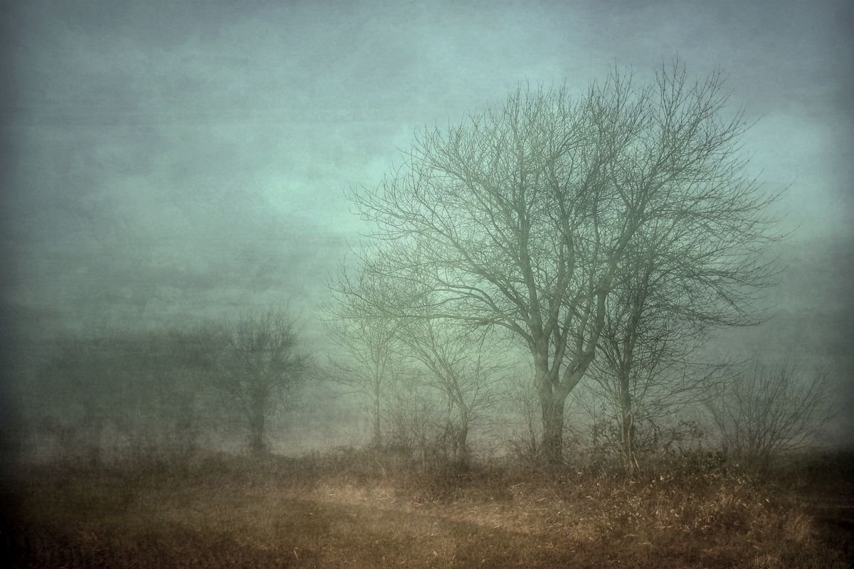 Cold Fragility by Sandra Roeken