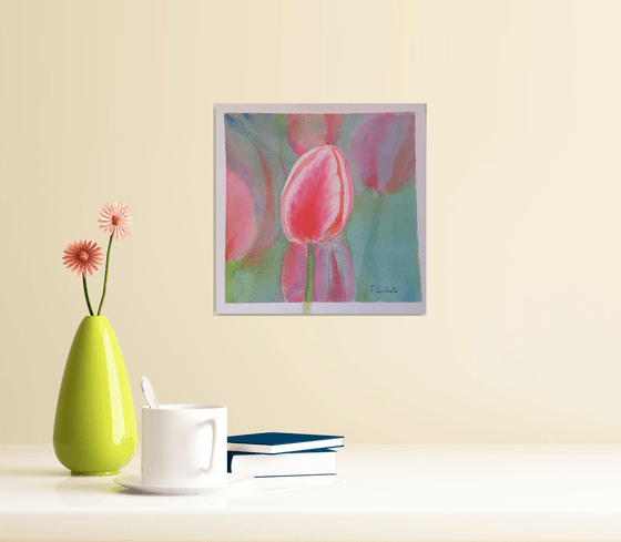 Pink tulip