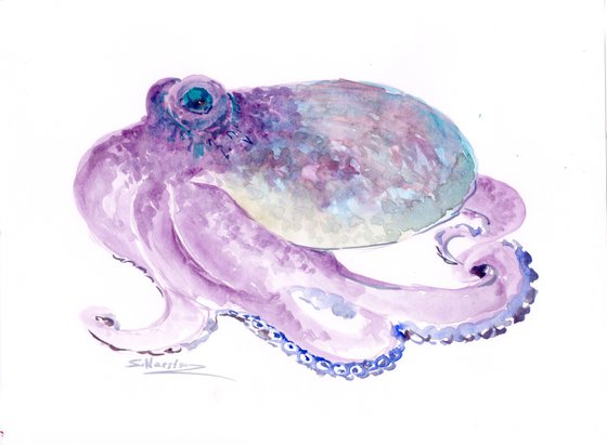 Octopus