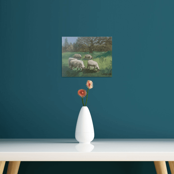 Sheep in a Kent orchard