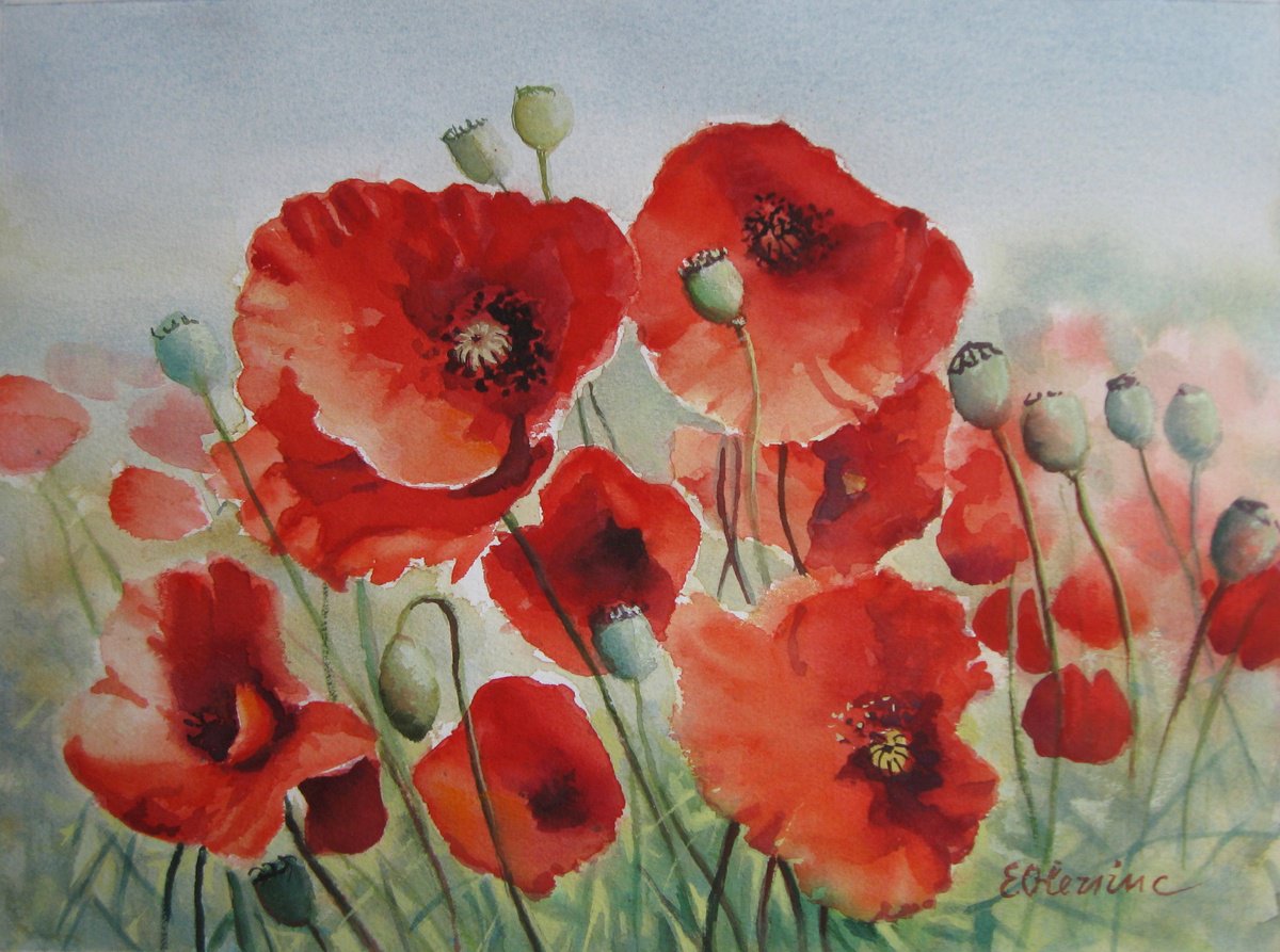 Expressive Botanical Watercolour By Elena Oleniuc, 15 X 11, Field Of Poppies, Original Artwork