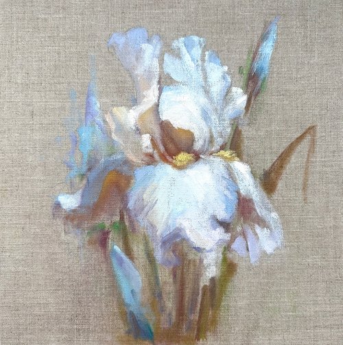 White  iris on raw canvas by Anna Bogushevskaya