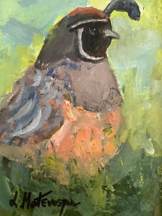Quail Visitor