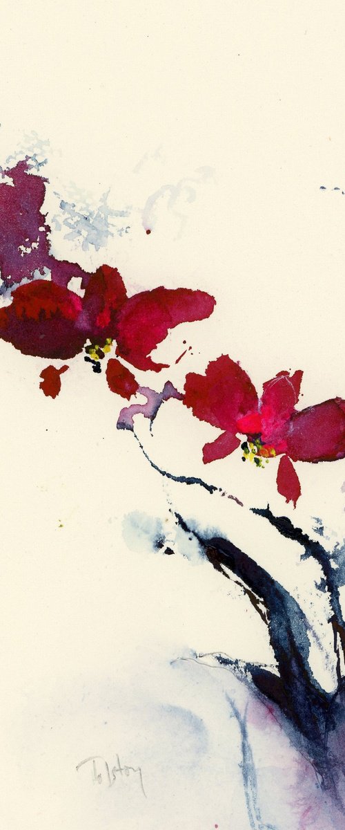 Orchid 1 by Alex Tolstoy