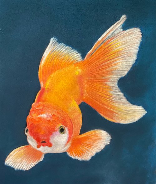 Goldfish by Maxine Taylor